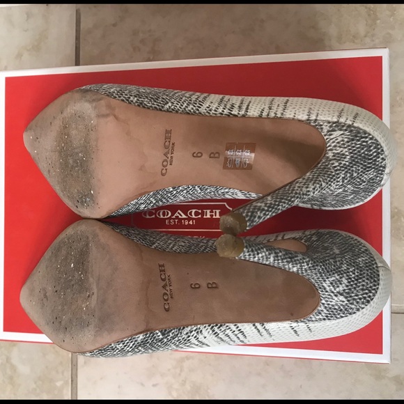 Hallie soft print lizard Coach High heels - Picture 3 of 4